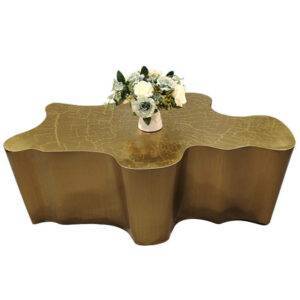 Luxury Shape Coffee Table 16 Luxury Shape Coffee Table